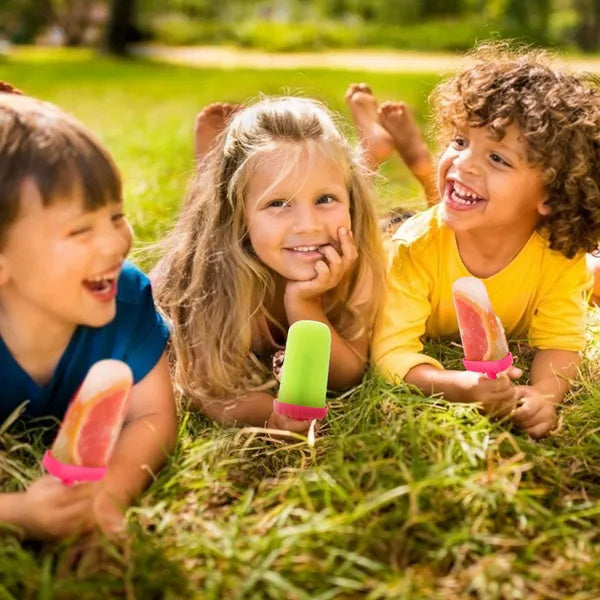 6Pcs Popsicle Molds Reusable Ice Cream DIY Ice Maker Ice Bar Maker